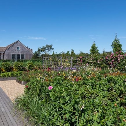 Siasconset Nantucket vacation rental - Garden for homeowners 50 yards away