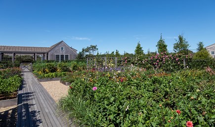 Siasconset Nantucket vacation rental - Cutting garden nearby