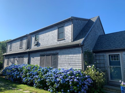 Mid-island Nantucket vacation rental - Front yard in full bloom mid July
