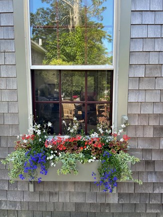 Nantucket town Nantucket vacation rental - Window Box