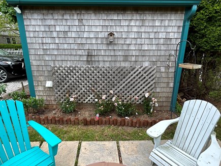 Surfside Nantucket vacation rental - Roses next to chairs and fire pit