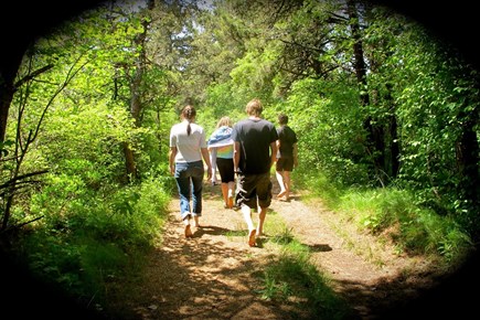 Surfside Nantucket vacation rental - 15 min walk to the beach down wooded dirt road & across dunes