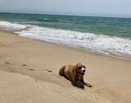 Surfside Nantucket vacation rental - Ahhh, here we are at last.