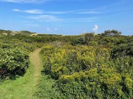 Dionis, Nantucket Nantucket vacation rental - Path to Dionis Beach