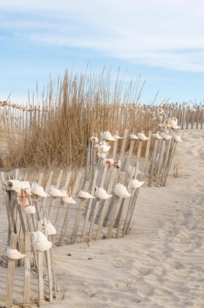 Mid-island Nantucket vacation rental - Nantucket