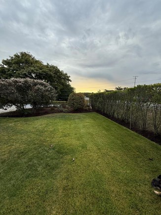Monomoy Nantucket vacation rental - Expansive Yard