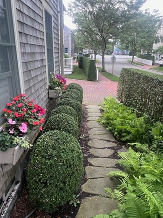 Mid-island Nantucket vacation rental - Front entry path
