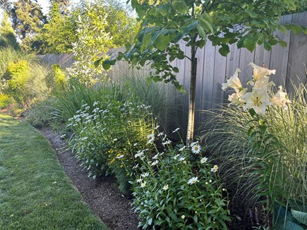 Surfside Nantucket vacation rental - Gardens that always have something in bloom.