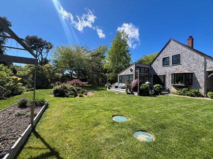 Surfside Nantucket vacation rental - Our side yard from the vegetable garden.