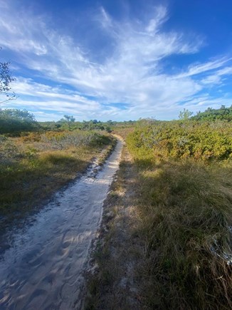Madaket, Fishers Landing Nantucket vacation rental - Moors path to north shore through Linda Loring Nature Preserve